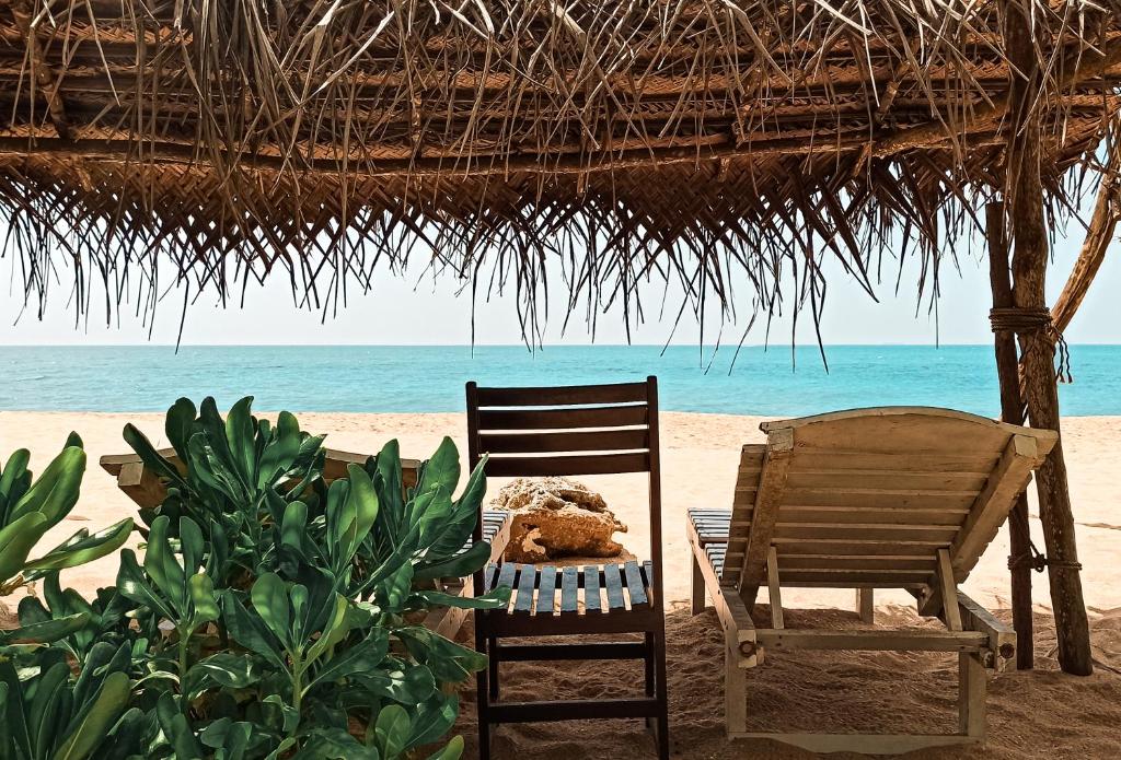 🌴 SRI LANCA ❗ Recomandam ❗ 🏫 Lagoon Paradise Beach Resort 4* (Tangalle) ✈️ zbor în data de 01.04.24 – 8  nopti