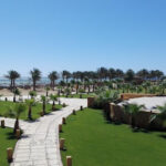 😱ЕГИПЕТ🌴 Марса Алам 🌊 🏫Royal Tulip Beach Resort 5*☀ 👉Новое направление